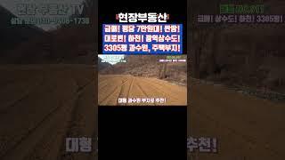 과수원 부지 급매 평당7만원대 대로변 광역상수도 하천 접 3305평 #급매 #대로변 #싼땅 #부동산 #시골 #상수도 #계곡 #후곡리