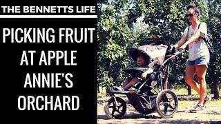 Picking our own fruit at Apple Annie's Orchard in Wilcox, AZ