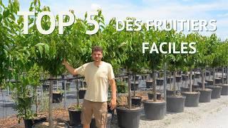 TOP 5 Des fruitiers faciles avec récolte assurée