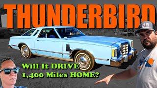 Will This LAND YACHT Thunderbird Drive 1400 Miles Home?