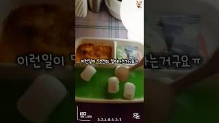 ‼알려드립니다‼ 장기하와 얼굴들-거절할거야#멧돼지두두 #인형계 #인형계브이로그 #장난감상황극 #인형계밥 #솜인형놀이 #동물인형 #거절할거야 #새벽감성 #새벽감성브이로그