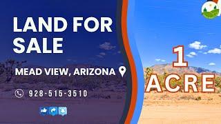 1 acre land for sale in Mead view, Arizona [337-16-335]