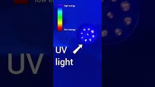 Supercharging Glow in the Dark Objects with UV light  #chemistry #shorts #education #science