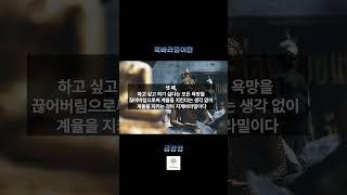[금강경] 보살의 수행덕목, 육바라밀이란