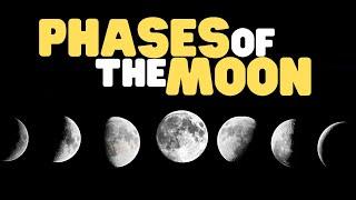 Phases of the Moon | Learn all about the moon for kids!