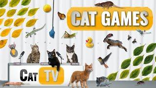 CAT Games | Ultimate Cat TV Compilation Vol 76 | 2 HOURS 