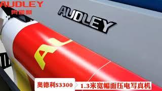 Audley 1.3m width format eco solvent printer with one print head