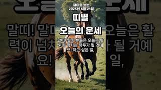 20250621토 띠별운세#shorts #youtubeshorts #2025운세 #운세정보 #금전운 #건강운#연애운 #띠운세 #행운아이템 #데일리운세 #오늘의점 #운세모음#무료운세