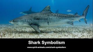 Shark Symbolism