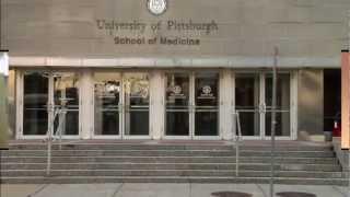 University of Pittsburgh School of Medicine - Department of Cell Biology