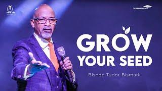 Bishop Tudor Bismark | Growing your seed