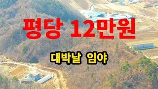 10배넘는 수익이 가능한 보전관리 임야투자! 대규모 개발 토지! 평당 코끼리부동산  010 2275 6213