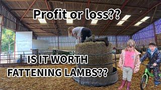 Which is the most profitable??? Fattening lambs or STORE lambs?