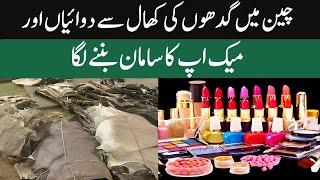 Use of donkey skins for medicine and cosmetic creams in China | Urdu | ViewPoint