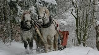 Stefan Hrusca  | Colaj colinde , Christmas Music , Cantece de craciun