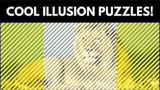 Awesome Eye Test - Guessing Animals Puzzle!