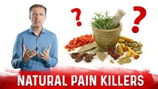 The 6 Best Natural Pain Killers: Dr. Berg Recommendation