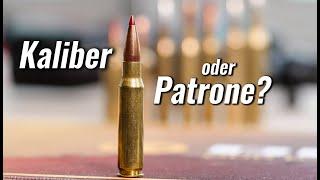 KALIBER vs. PATRONE: Was ist der Unterschied? | JAGD TOTAL