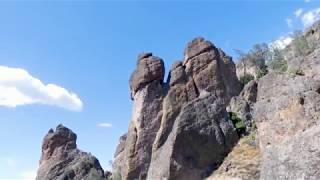 California Condors #688 and #700 interacting on Teapot Dome