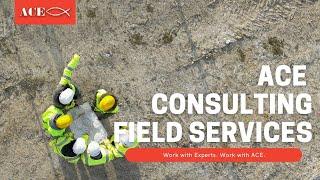 ACE Consulting Field Services