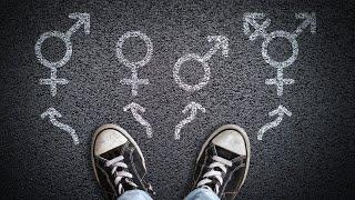 Gender identity questions in 2026 census were ‘always going to be a problem’