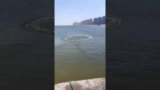 Amazing Big Cast Net Fishing   Net Catch Fishing in The River