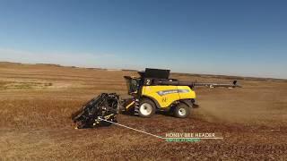 Soybean harvest 2017. Canada. (4K video). MY AGRO