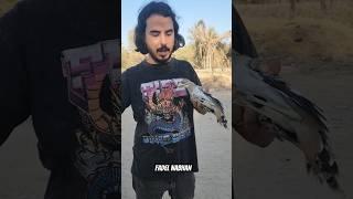 اطلاق سراح طائر الكروان في غزة