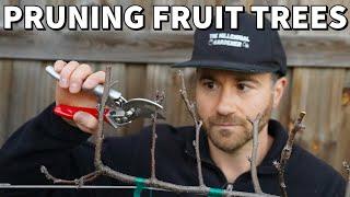 How To Prune Fruit Trees For SMALL Size And MAXIMUM Production!