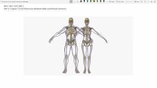 MALE & FEMALE BONE STRUCTURE