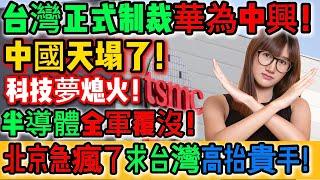 超給力！開香檳啊！台灣硬起來了！台灣正式宣布制裁華為中興！天塌了！中國整個半導體崩盤！科技夢徹底熄火！差距被台灣越拉越遠！北京急瘋了求台灣高抬貴手！世界開始站在台灣這邊！｜Reaction Video
