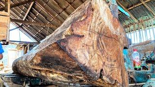 Amazing! Acacia wood sawmill that displays beauty