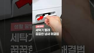 전문가도 인정한 세탁기 청소 꿀팁