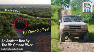 Finding A 900 Year Old Tree While Mudding! (EP 2) // Texas Backroads