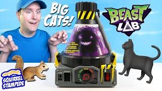 Beast LAB Stealth Strike Cat out of the Box Experiment Kit Squirrel Stampede Review