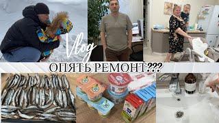 VLOG: Что ДАРИТЬ?/Хочу РЕМОНТ/Готовлю МОЙВУ/Гуляем в ПАРКЕ