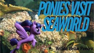 Ponies Visit SeaWorld