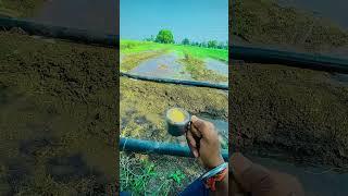 My new blog #funnyvideo #funnyshorts #blogtime#kishan