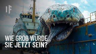 Was wäre, wenn die Titanoboa nie aufgehört hätte, sich weiterzuentwickeln?