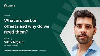 What are carbon offsets and how they can be an effective climate tool? - Abatable