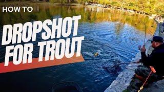 How To Catch Stocked TROUT: Dropshot - Mountain Lakes 2024 TROUT OPENER.