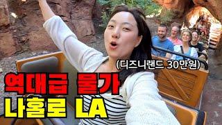  #3 천조국 미국에서 찐자본주의를 즐겨보자(ft. LA에서 가장 비싼 마켓, LA 디즈니랜드)