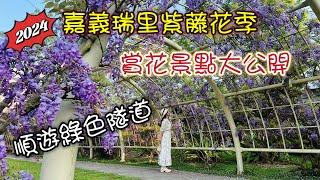 【2024嘉義景點】 瑞里紫藤花季賞花景點￼大公開｜瑞里綠色隧道