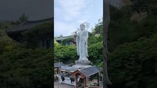 회향ㅡ법능스님