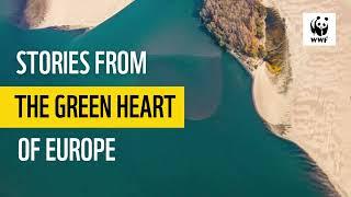 Freshwater: Stories from the Green Heart of Europe