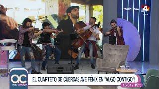 El cuarteto de cuerdas Ave Fénix la rompió tocando hitazos populares con violín en vivo