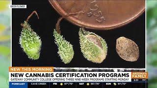 New cannabis certification programs to begin at Arizona community college