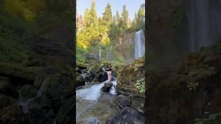 Isn’t it magical?  #waterfall #pnw #shortsfeed #youtubeshorts #beautifuldestinations