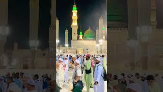 #rabiulawwal2023 #roza #mostbeautiful #masjidnabawi #foryou