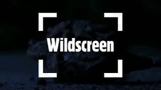 Wildscreen Panda Award submissions 2018